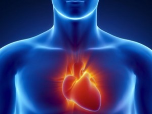 Heart Rate Variability Study EMF - EndAllDisease