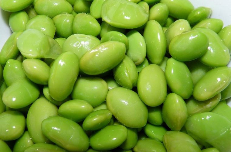 Soy beans toxic damaging