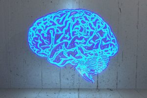 Brain tv decreases IQ
