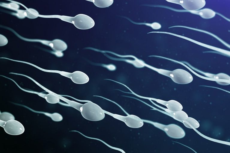 Sperm count underwear