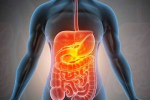 Human digestive system endotoxin