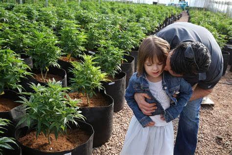 Marijuana Cures this 6 Year Old Girl's 300 Seizures a Week