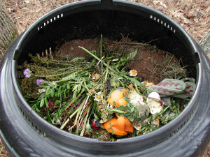 composting-input