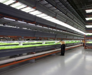 The Plant Vertical Farms - Chicago, Illinois - EndAllDisease