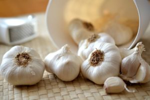 Perennial garlic